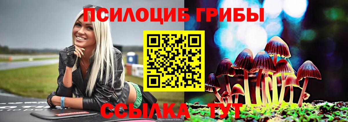 Галлюциногенные грибы GOLDEN TEACHER  Барнаул  Псилоцибиновые грибы GOLDEN TEACHER 