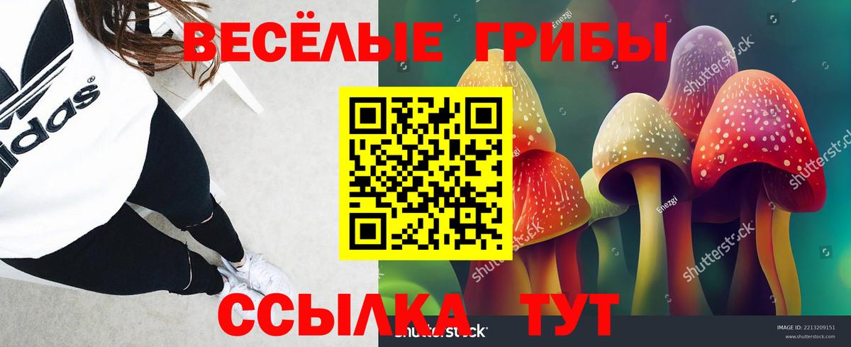 где продают   Галлюциногенные грибы Magic Shrooms  Галлюциногенные грибы прущие грибы  Вход с VPN  Барнаул 