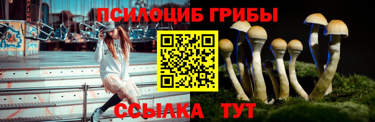 Галлюциногенные грибы мухоморы Барнаул