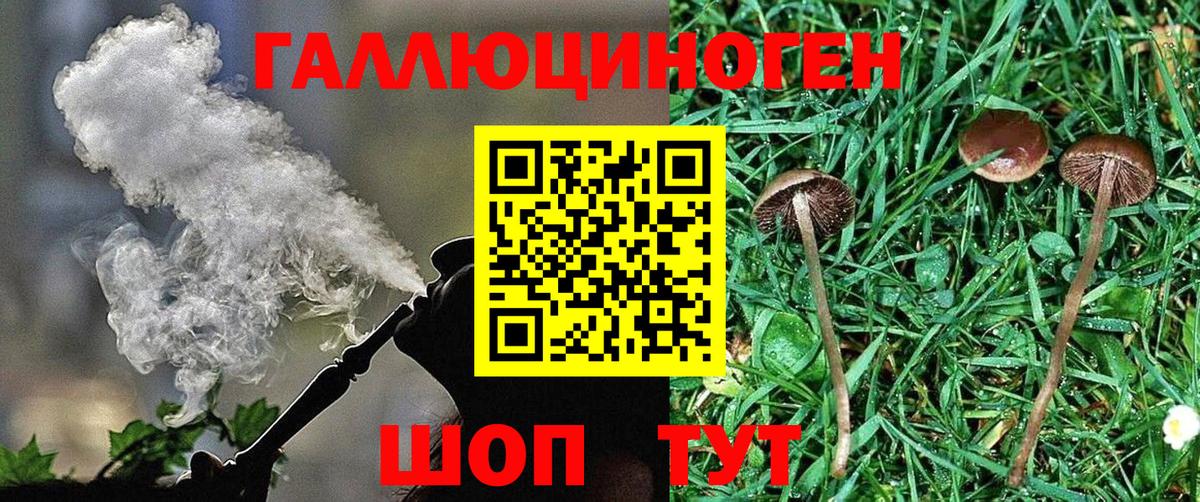 ЭКСТАЗИ Барнаул