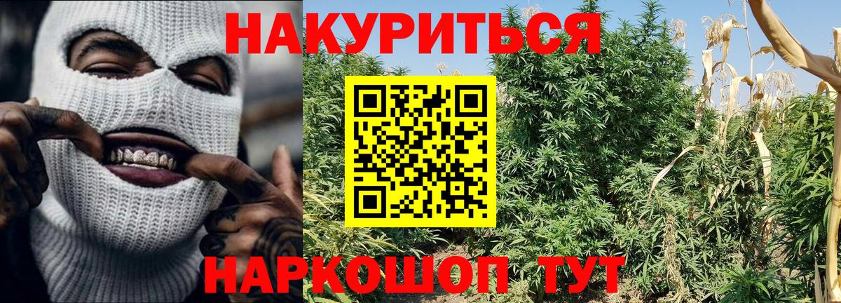 Бошки марихуана THC 21%  Барнаул  Бошки Шишки AK-47 